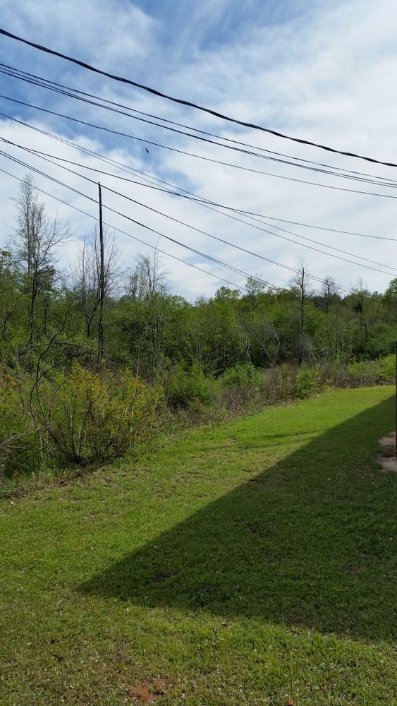 646 N US Highway 231, Ozark, AL 36360